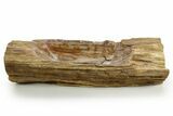 Polished Petrified Wood Dish - Madagascar #378872-1